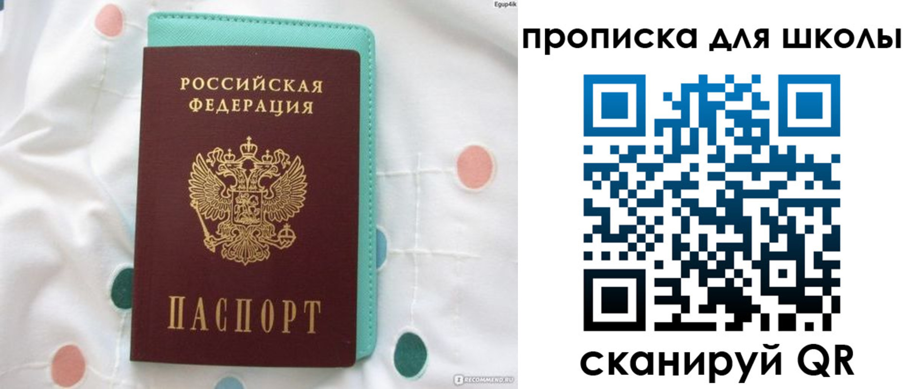 временная регистрация для всех в Ельне